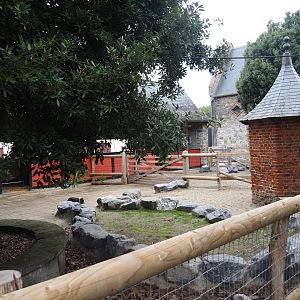 Göttinger mini pig and Chinese goose paddocks and pigeon tower in former entrance area, 2024-09-17