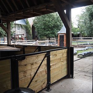 Göttinger mini pig and Chinese goose shelter and holding areas in former ticket checkpoint area, 2024-09-17