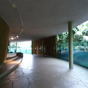 "Hippo Bay" view -Zoologischer Garten Berlin (2024)