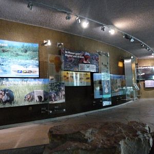 "Hippo Bay" education -Zoologischer Garten Berlin (2024)