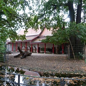 Indian gaur exhibit -Zoologischer Garten Berlin (2024)