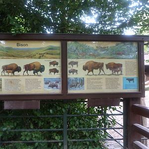 American and European bison signs -Zoologischer Garten Berlin (2024)
