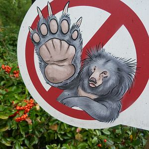 Stop! -Zoologischer Garten Berlin (2024)