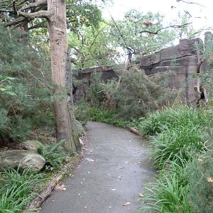 Owl walk-through aviary -Zoologischer Garten Berlin (2024)