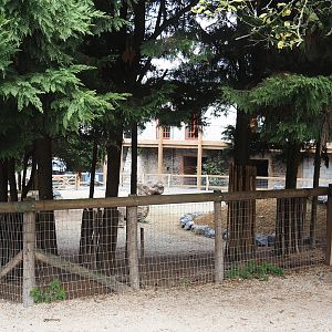 New domestic donkey paddock near Farm House lodges, 2024-09-17