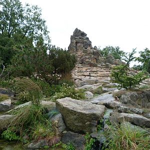 Mountain landscape -Zoologischer Garten Berlin (2024)
