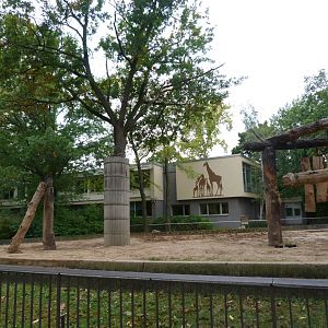 Indian elephant exhibit -Zoologischer Garten Berlin (2024)