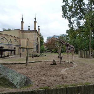 Giraffe and Defassa waterbuck exhibit -Zoologischer Garten Berlin (2024)