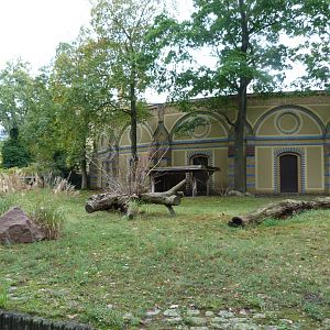 Southern gerenuk and Kirk's dik-dik exhibit -Zoologischer Garten Berlin (2024)