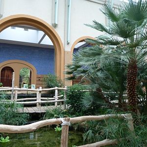 "Antilopen Haus" view -Zoologischer Garten Berlin (2024)