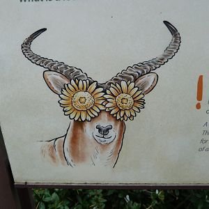 Lechwe sign art -Zoologischer Garten Berlin (2024)