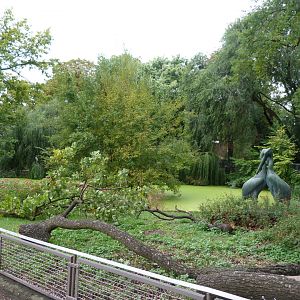 Pelican lake view -Zoologischer Garten Berlin (2024)