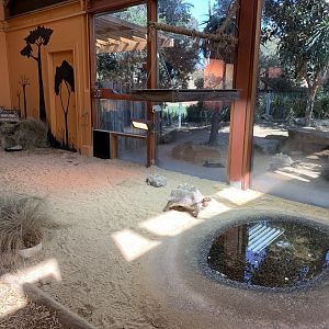 Indoor Tortoise Exhibit