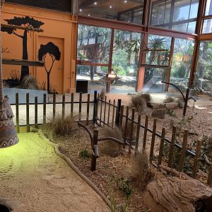 Indoor Tortoise Exhibit