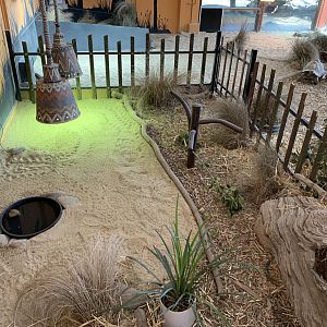 Indoor Tortoise Exhibit