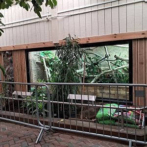 Finished indoor enclosure in Worlds Apart- 14/9/2024