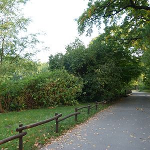 View behind bison paddock -Tierpark Berlin (2024)