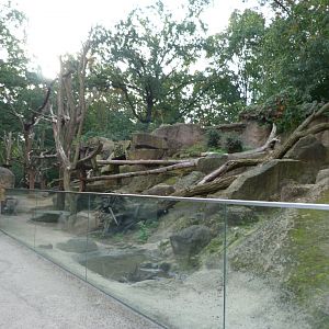 North American porcupine and Black-tailed prairie dog exhibit -Tierpark Berlin (2024)