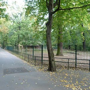 Deer paddocks -Tierpark Berlin (2024)