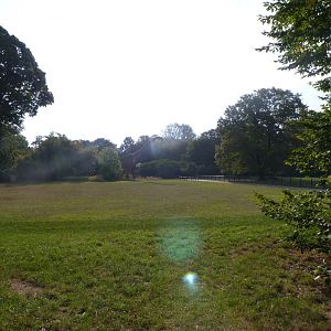 Field view -Tierpark Berlin (2024)