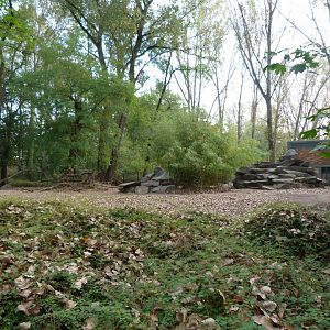 Rocky Mountain goat exhibit -Tierpark Berlin (2024)