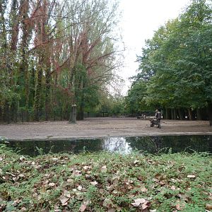 Pere David's deer exhibit -Tierpark Berlin (2024)