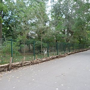 Siberian crane exhibit -Tierpark Berlin (2024)