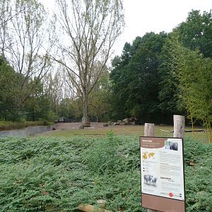 Mishmi takin exhibit -Tierpark Berlin (2024)