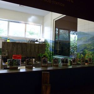 Kitchen -Tierpark Berlin (2024)