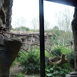 Guiana bearded saki, White-faced saki, Yellow-breasted capuchin and Venezuelan red howler exhibit -Tierpark Berlin (2024)