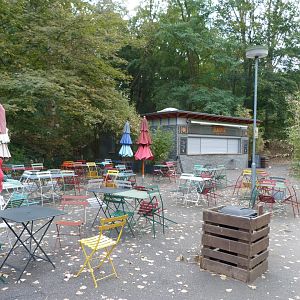 "Bandipur" café -Tierpark Berlin (2024)