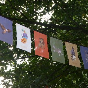 Illustrated flags -Tierpark Berlin (2024)