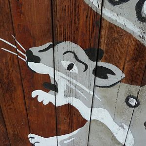 Snow leopard illustration -Tierpark Berlin (2024)