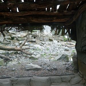 Snow leopard exhibit -Tierpark Berlin (2024)