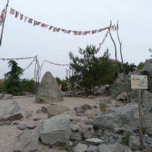 Park area on the highest point of the zoo -Tierpark Berlin (2024)
