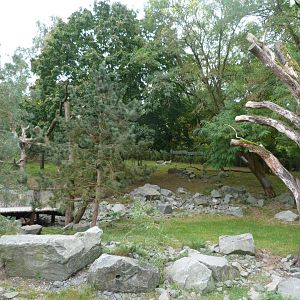 Himalayan red panda and Mischie's tufted deer exhibit -Tierpark Berlin (2024)