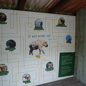Takin taxonomy sign -Tierpark Berlin (2024)