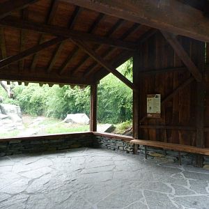 Francois' leaf monkey exhibit -Tierpark Berlin (2024)