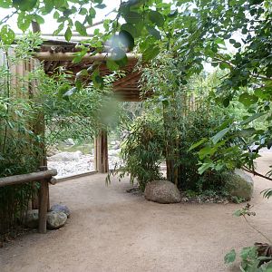 "Otter Insel" viewing area -Tierpark Berlin (2024)