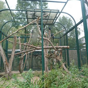 Hyacinth macaw exhibit -Tierpark Berlin (2024)
