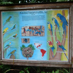 Macaws sign -Tierpark Berlin (2024)