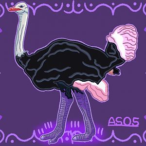 Ostrich