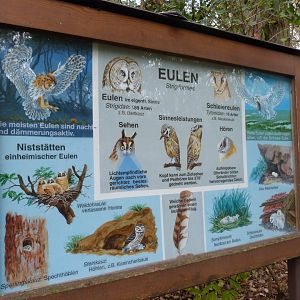 Owl sign -Tierpark Berlin (2024)