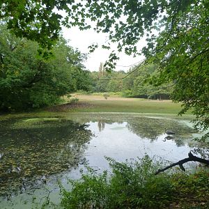 Guanaco exhibit pond -Tierpark Berlin (2024)