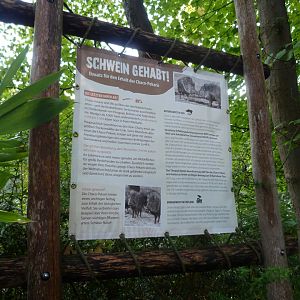 Chacoan peccary sign -Tierpark Berlin (2024)