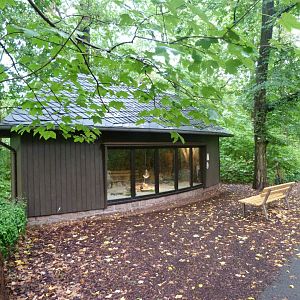 Chacoan mara exhibit -Tierpark Berlin (2024)