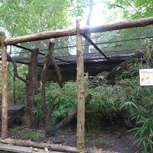 Swinhoe’s striped squirrel exhibit -Tierpark Berlin (2024)