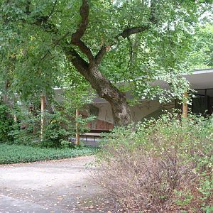 Aviary pavillion -Tierpark Berlin (2024)