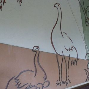 Moa art -Tierpark Berlin (2024)