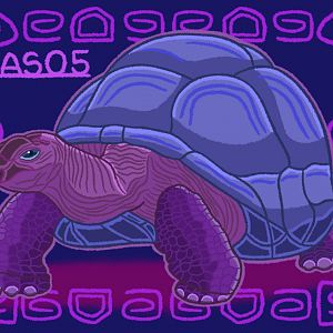 Aldabra Giant Tortoise